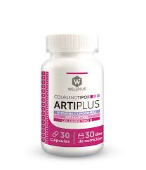 ARTIPLUS